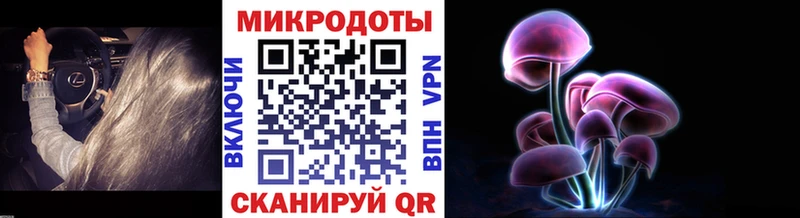 mega зеркало  купить наркотик  Ряжск  Псилоцибиновые грибы ЛСД 